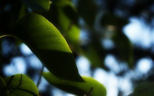 深度推荐